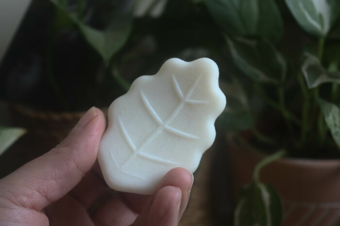 shampoing solide Respectueuse