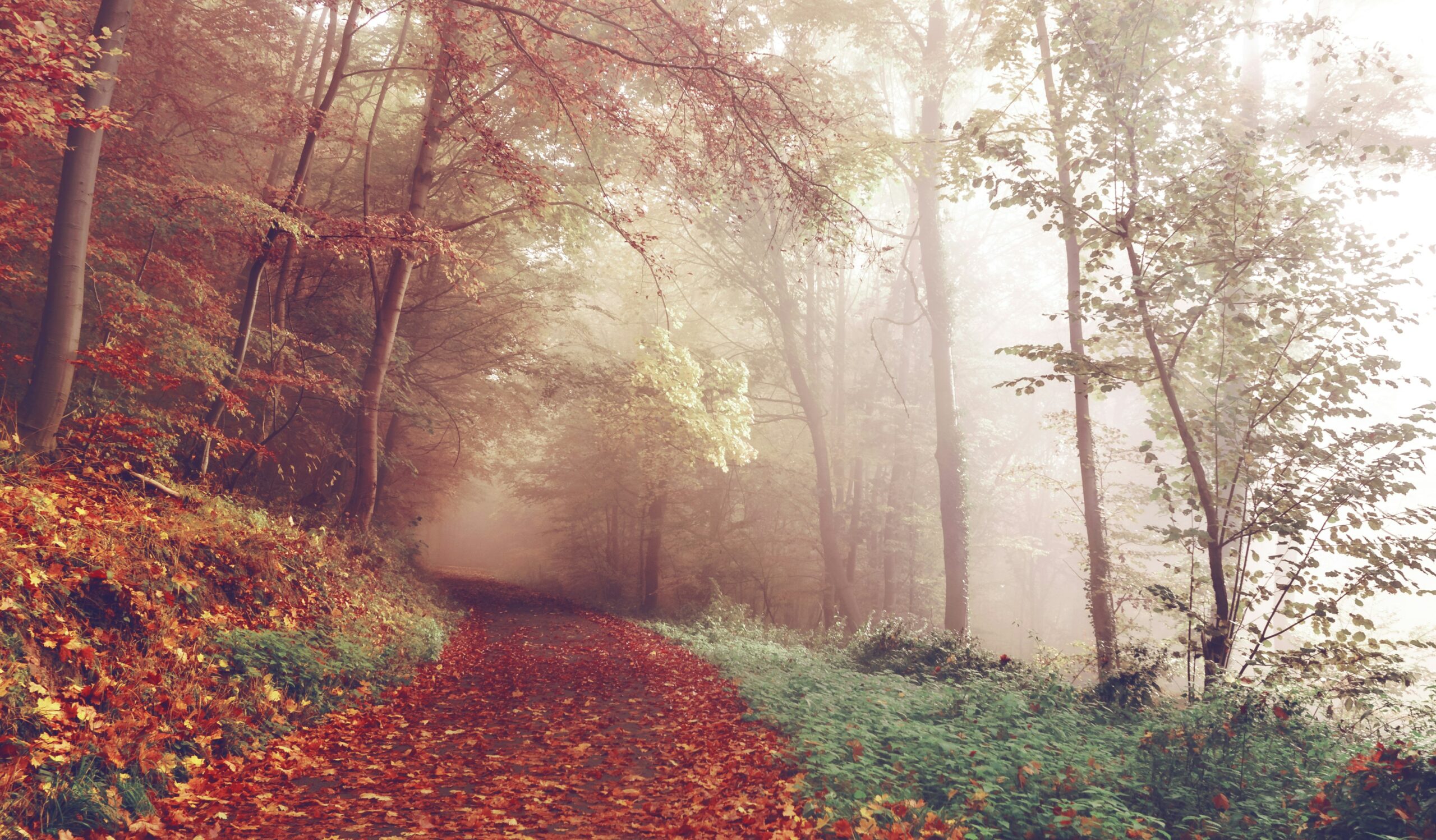 Préparer l"automne